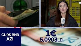 VIDEO Euro se menține peste pragul de 5 le. Diferențe între cursul BNR și casele de schimb valutar